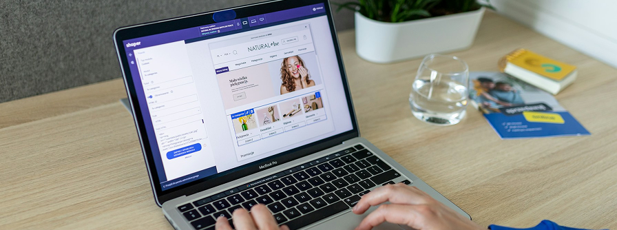 Section illustration